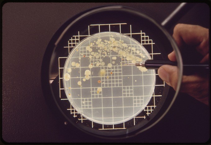 Chứa tới 40 tỷ UFC/viên nhộng